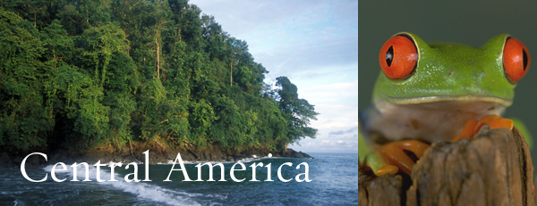 where the nature conservancy works - environmental issues - nature -  conservation - habitat - geography - Central America