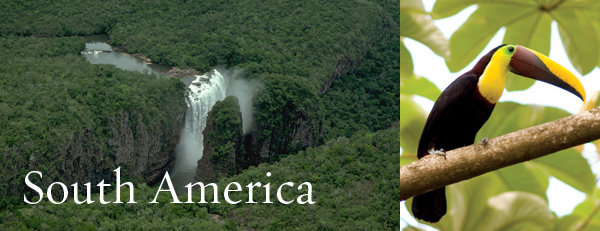 where the nature conservancy works - environmental issues - nature - conservation - habitat - geography - South America