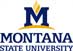 Montana State University Home