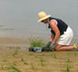 Habitat Restoration