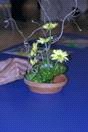 senior creates floral arrangement