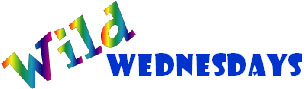 Wild Wednesday logo