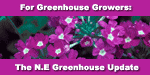 Check Out the New England Greenhouse Update