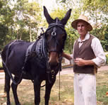 Photo Park Ranger in historic clothing with mule at Great Falls.