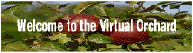 Welcome to the Virtual Orchard