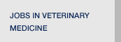Jobs in Veterinary Medicine