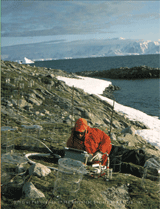 A site on Stepping Stones Island along the west coast of the Antarctic Peninsula where plants were collected for field and environmental chamber experiments examining the influence of temperature on the growth of flowering plants. Click here for more information.