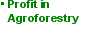 Profit in Agroforestry