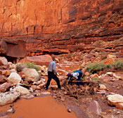 Grand Canyon