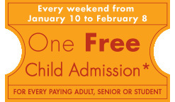 One Free Child Admission