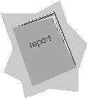 Report Image