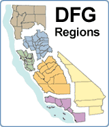 Link to Regional Services