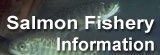 Link to information about California's salmon fishery