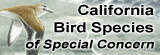 Updated Publication: Link to California Bird Species of Special Concern