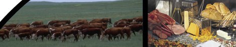 photos of men in a clover field, north dakota produce