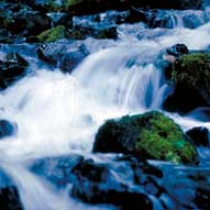 Oregon river