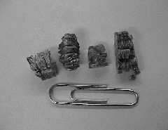 Pieces of Vermiculite, With a Paper Clip for Size Comparison