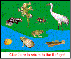 Click here to return to the Refuge!