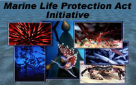 Marine Life Protection Act Initiative