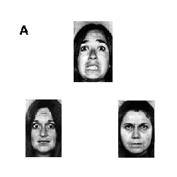 Results of motion matching test