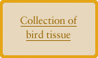 Collection of bird tissue records