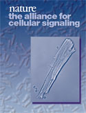 The Alliance for Cellular Signaling