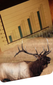 image of bar graph and elk