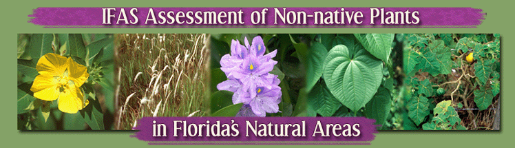 IFAS Assessment of the Status of Non-Native Plants in Florida's Natural Areas.