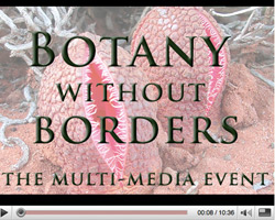 Botany without Borders