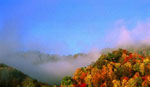 Autumn landscape with fog.