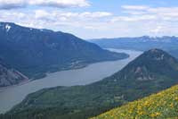 View of Columbia River from Dog Mountain trail in Skamania County, Washington.