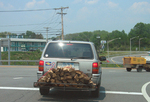 car transporting firewood