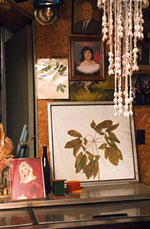 Still-life featuring portrait photographs and botanical illustrations on a sideboard.