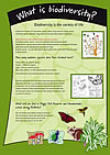 Download 'What is biodiversity' poster