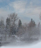 Cleanup of the Spokane River