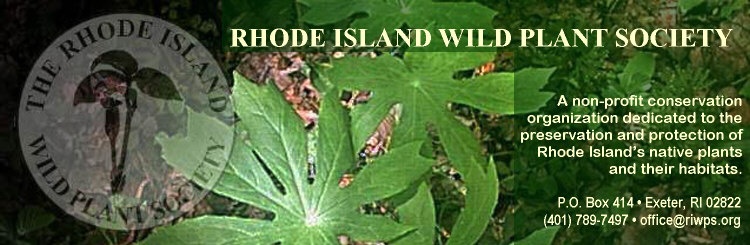 Rhode Island Wild plant Society