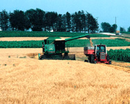 Agriculture Photo