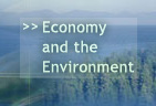Economy and the Environment