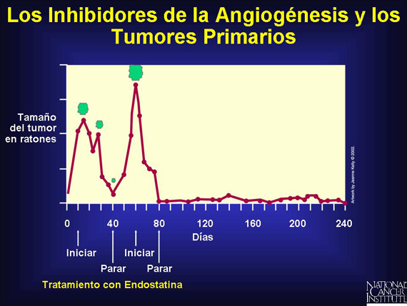 Los Inhibidores de la Angiogénesis y los Tumores Primarios