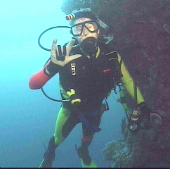 Diving in Palau