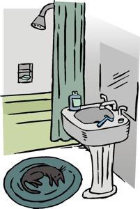 Bathroom, illustration by Tim Schlender, Ecology