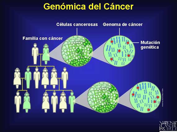 Genómica del Cáncer