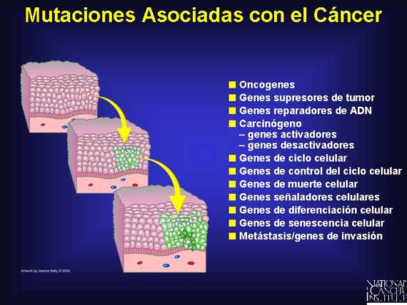 Mutaciones Asociadas con el Cáncer