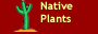 Native Plants