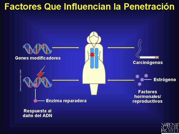 Factores Que Influencian la Penetración