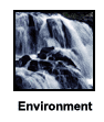 Environment