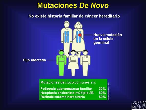 Mutaciones <I>De Novo</i>