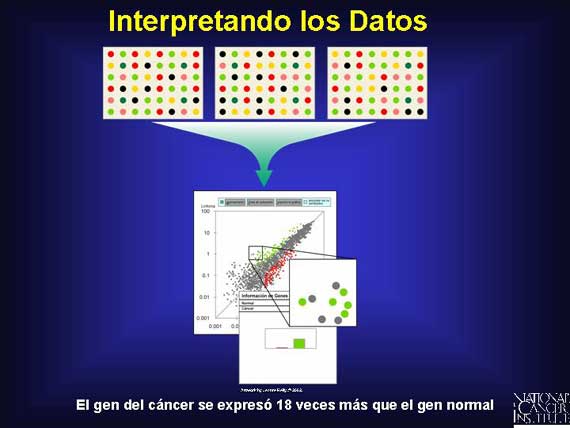 Interpretando los Datos