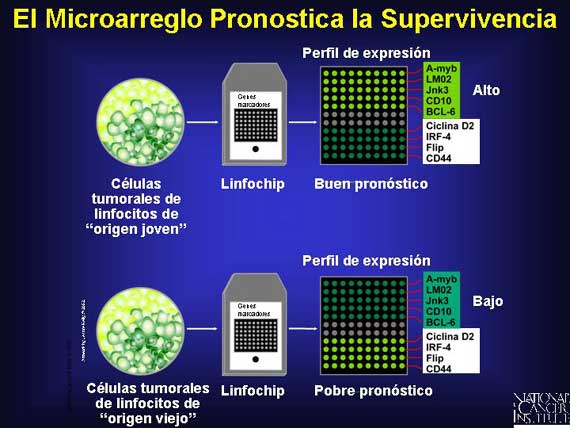 El Microarreglo Pronostica la Supervivencia