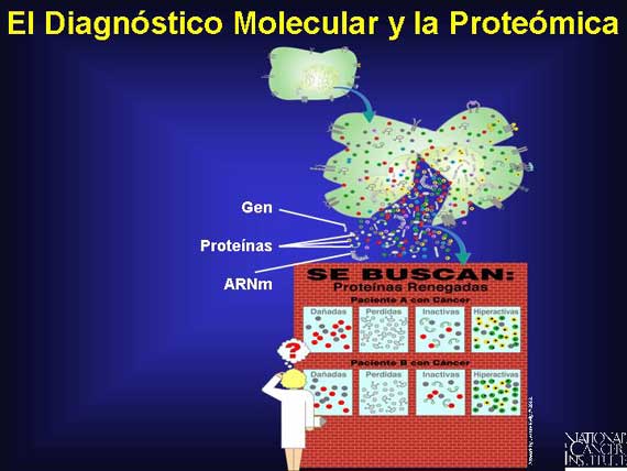 El Diagnóstico Molecular y la Proteómica
